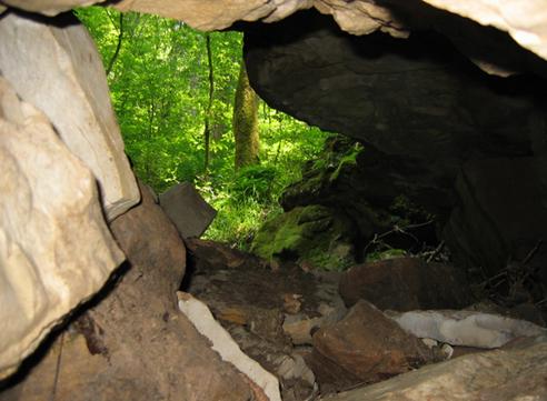 Photo of the cave entrance looking out from within